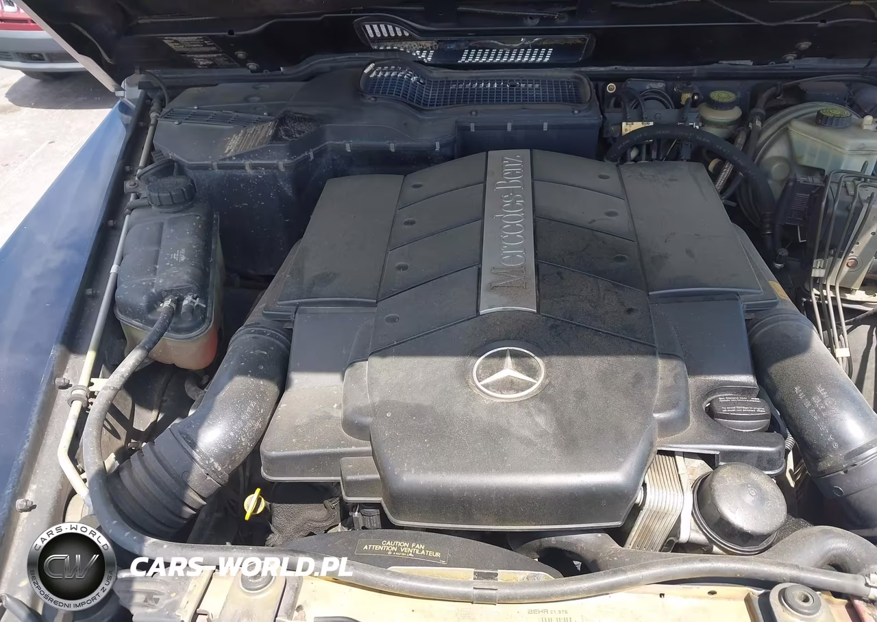 2004 Mercedes-Benz G 500 4Matic VIN:WDCYR49E44X145306 - 10