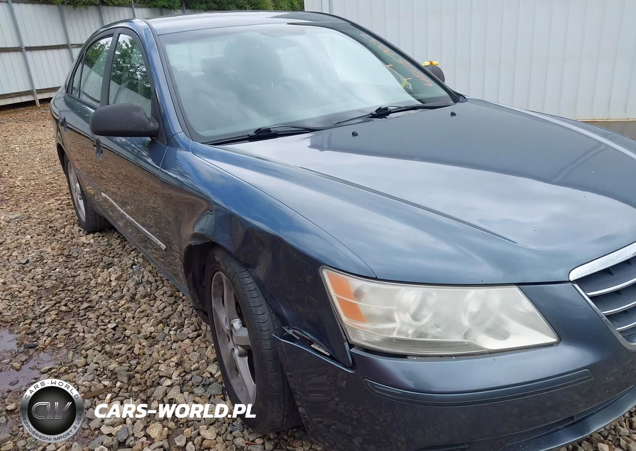 2010 Hyundai Sonata Gls VIN:5NPET4AC8AH658246 - 6
