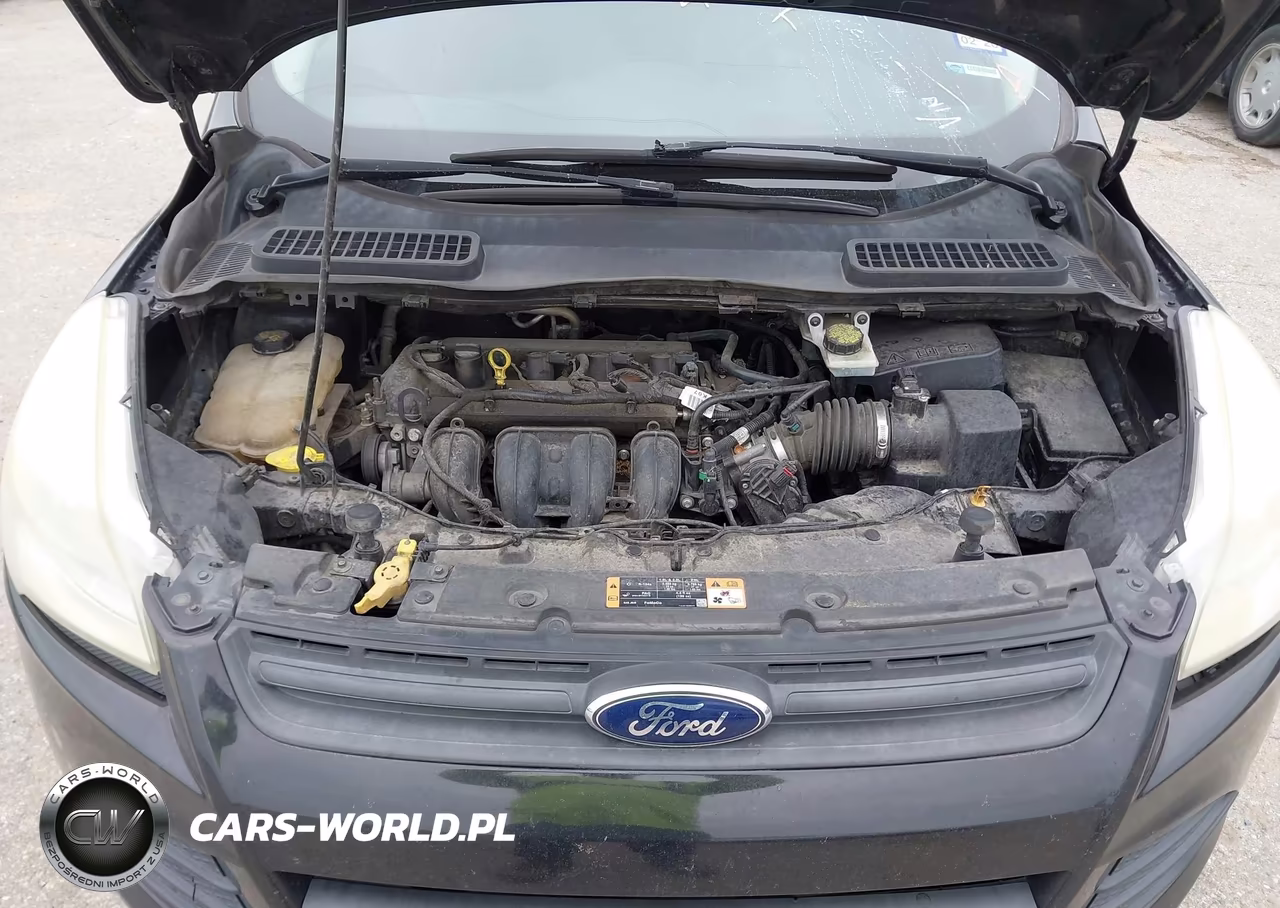 2016 Ford Escape S VIN:1FMCU0F73GUC41569 - 10
