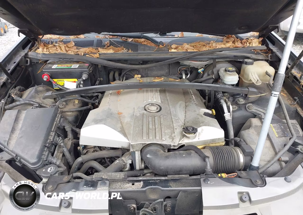 2005 Cadillac Srx V8 VIN:1GYEE63A950100016 - 10