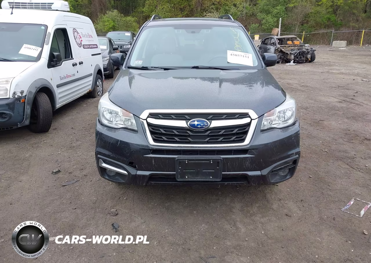 2017 Subaru Forester 2.5I Premium VIN:JF2SJAGC6HH519709 - 11
