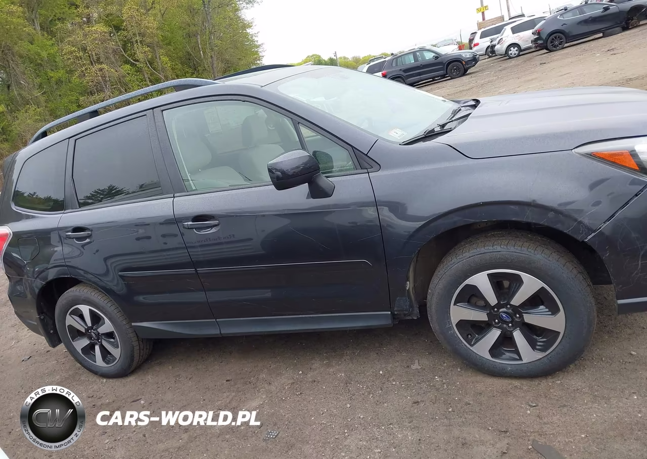 2017 Subaru Forester 2.5I Premium VIN:JF2SJAGC6HH519709 - 12