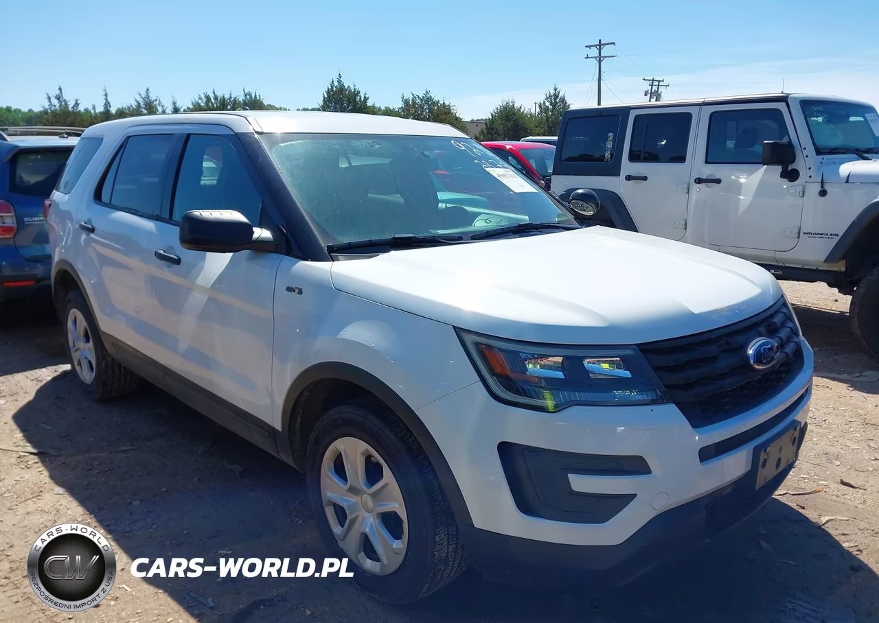 Główne zdjęcie 2019 Ford Police Interceptor Utility