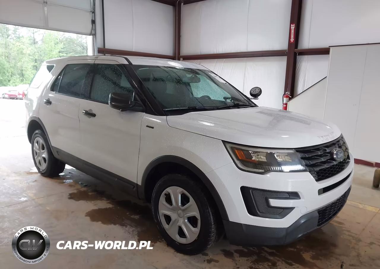 Główne zdjęcie 2019 Ford Police Interceptor Utility