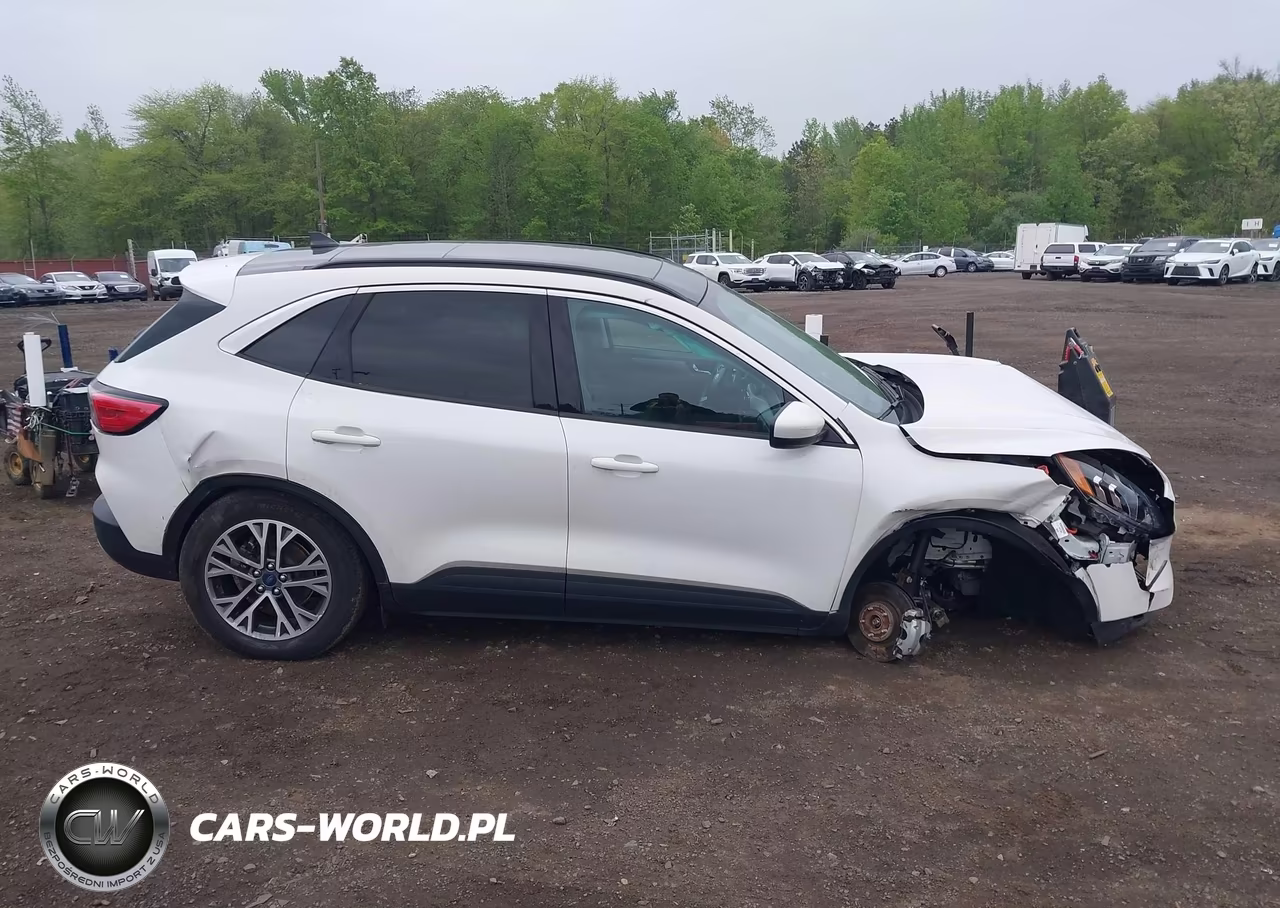 2022 Ford Escape Sel Hybrid VIN:1FMCU0CZXNUA86456 - 13