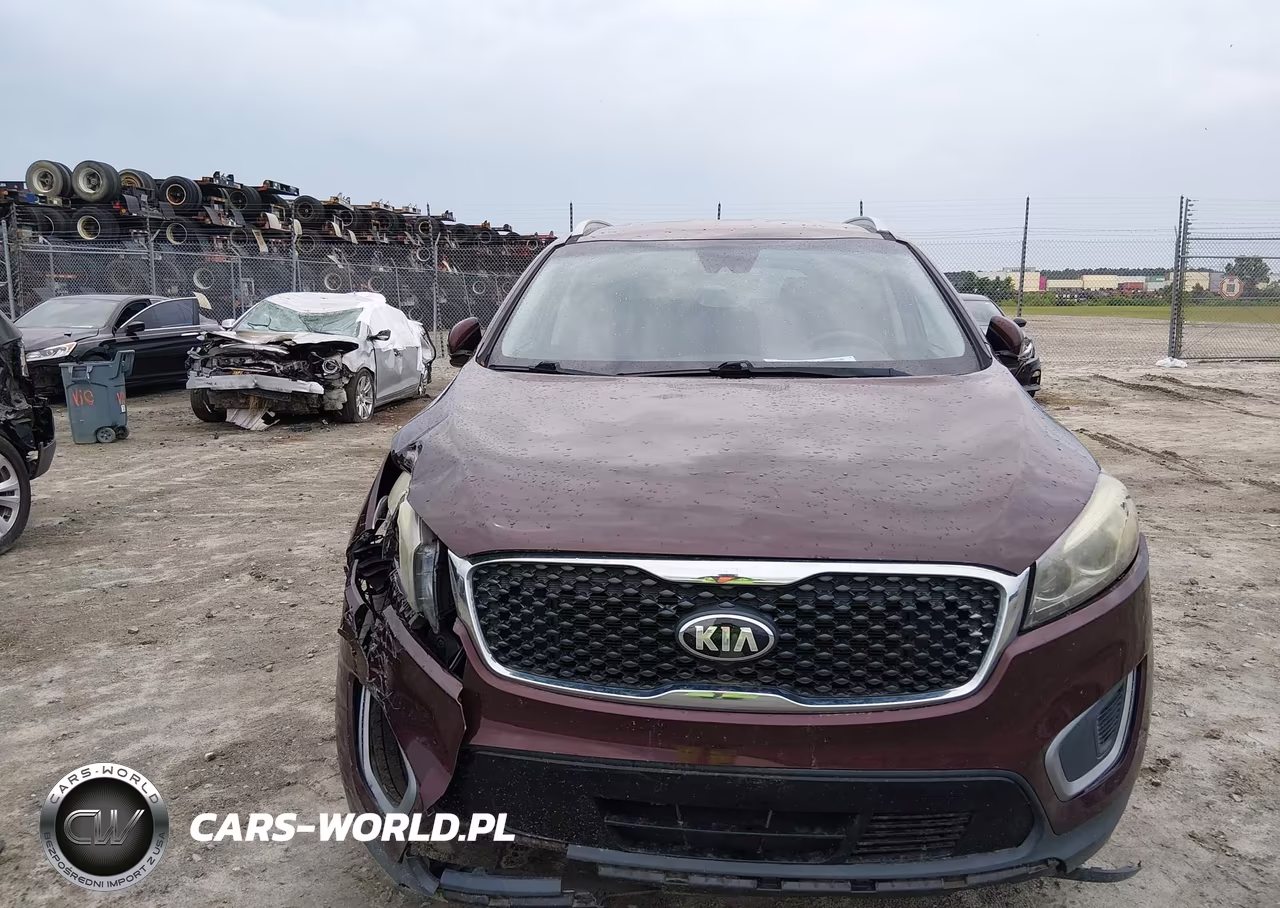 2017 Kia Sorento 2.4L Lx VIN:5XYPG4A30HG246529 - 13