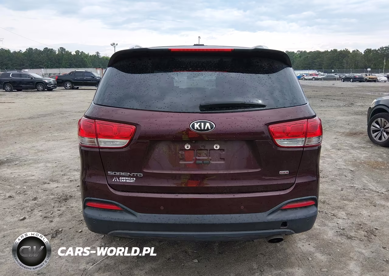 2017 Kia Sorento 2.4L Lx VIN:5XYPG4A30HG246529 - 17