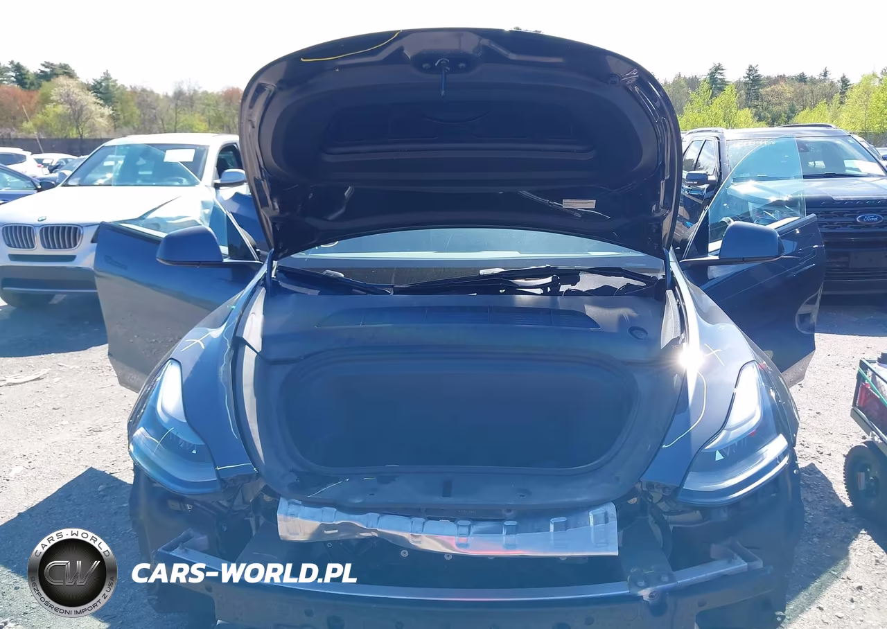 2023 Tesla Model Y Rwd VIN:7SAYGDED6PF948659 - 10