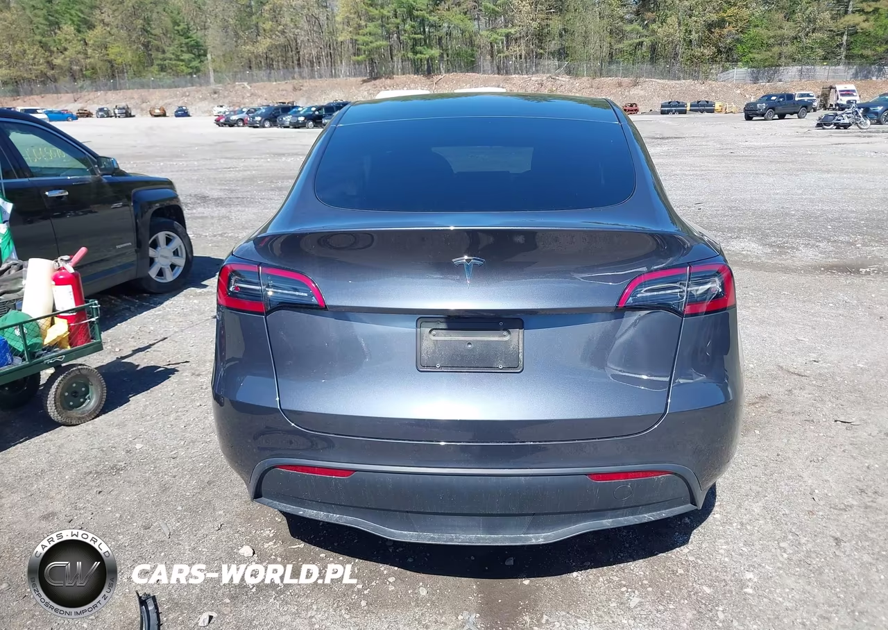 2023 Tesla Model Y Rwd VIN:7SAYGDED6PF948659 - 17