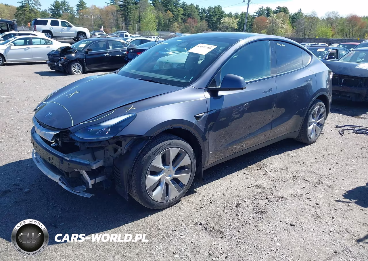 2023 Tesla Model Y Rwd VIN:7SAYGDED6PF948659 - 2