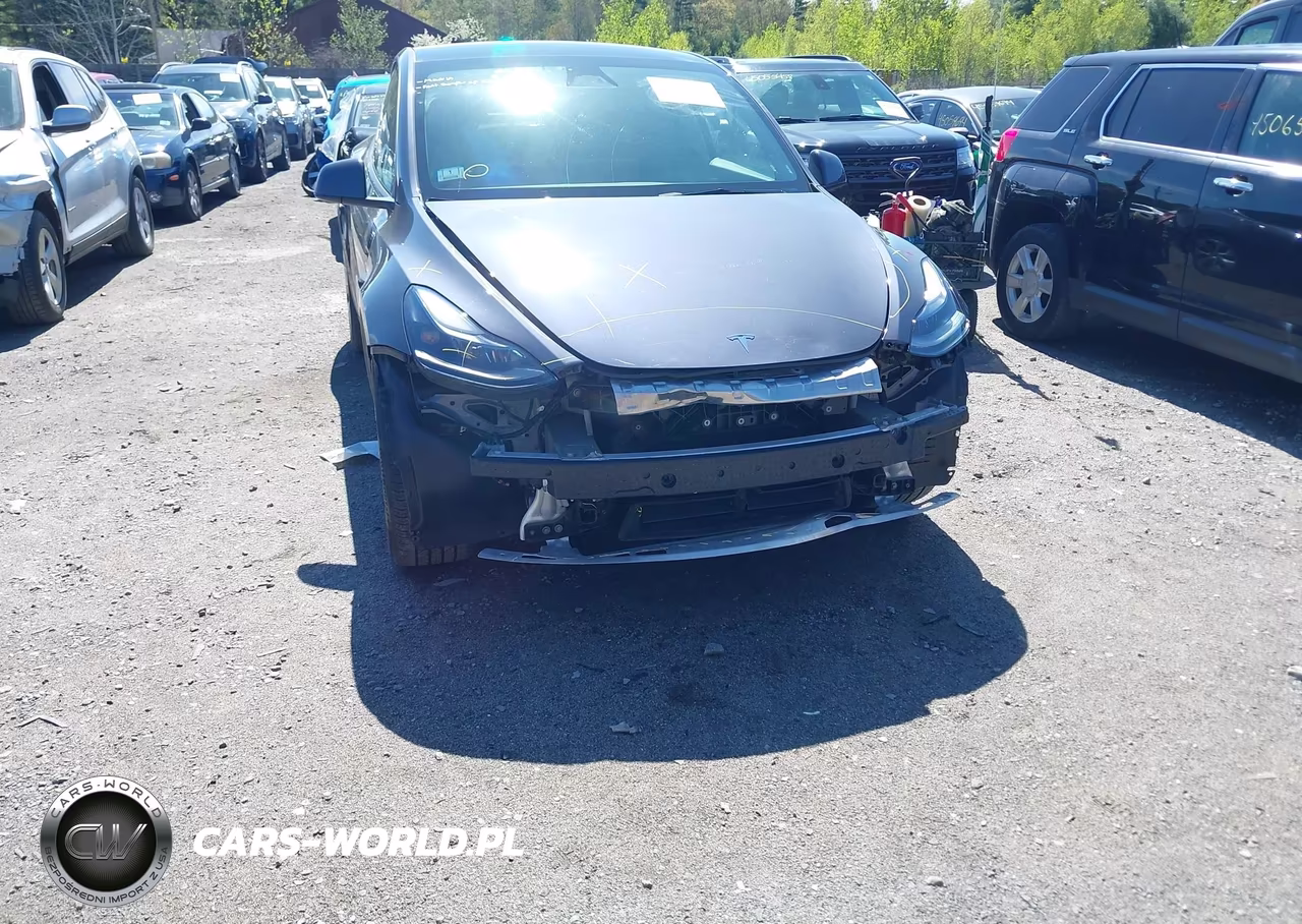 2023 Tesla Model Y Rwd VIN:7SAYGDED6PF948659 - 6