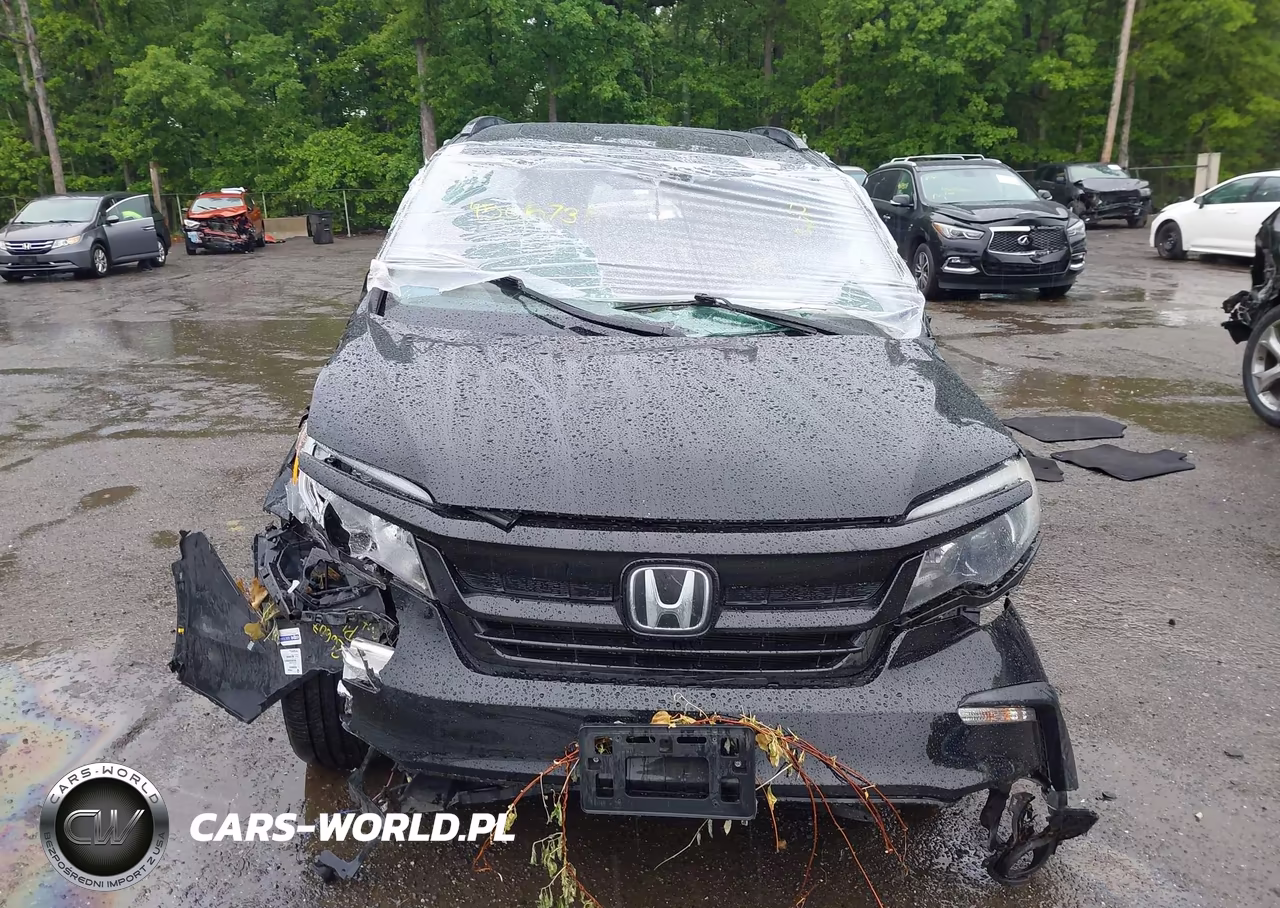 2021 Honda Pilot Awd Special Edition VIN:5FNYF6H21MB017813 - 13