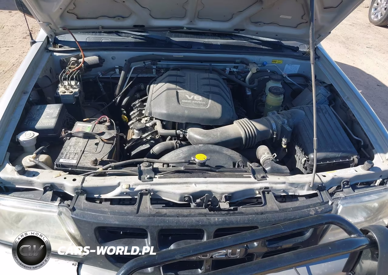 2004 Isuzu Rodeo S 3.2L V6 VIN:4S2CK58W044309631 - 10