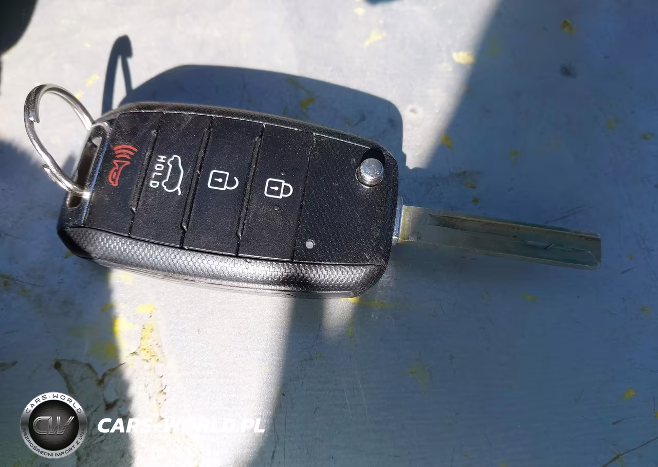 2017 Kia Sorento 2.4L Lx VIN:5XYPGDA31HG236933 - 11