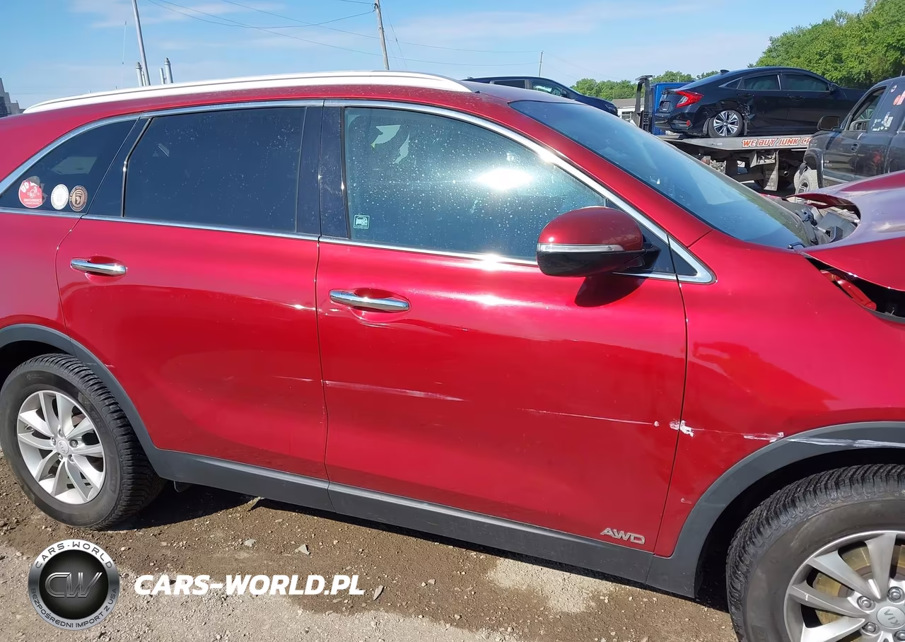 2017 Kia Sorento 2.4L Lx VIN:5XYPGDA31HG236933 - 13