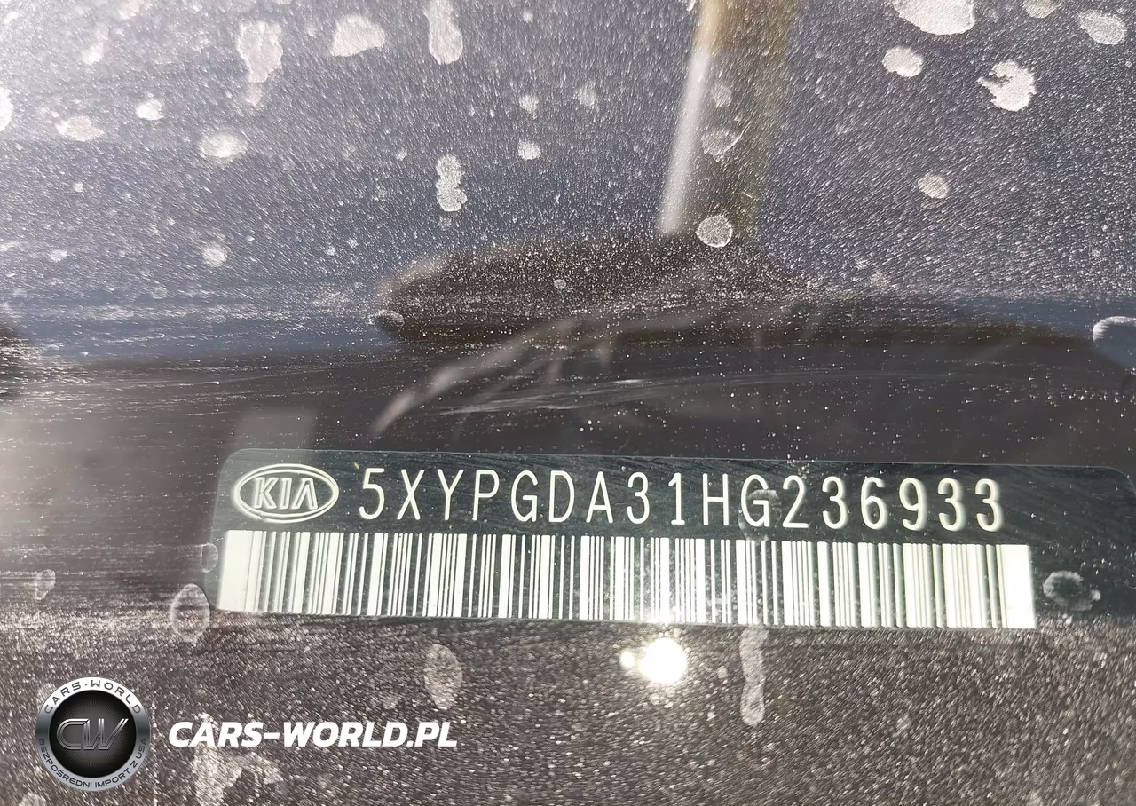 2017 Kia Sorento 2.4L Lx VIN:5XYPGDA31HG236933 - 9
