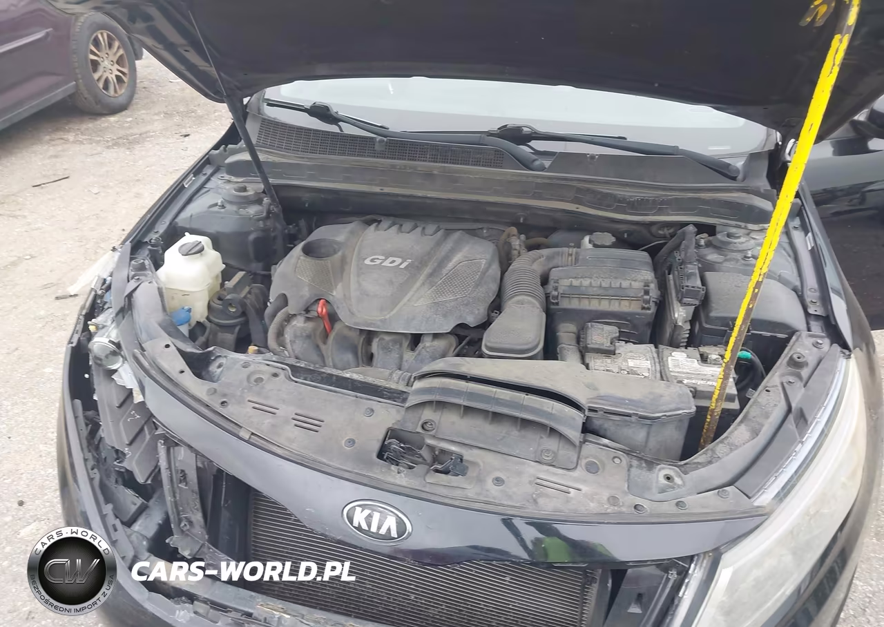 2014 Kia Optima Lx VIN:5XXGM4A7XEG322205 - 10