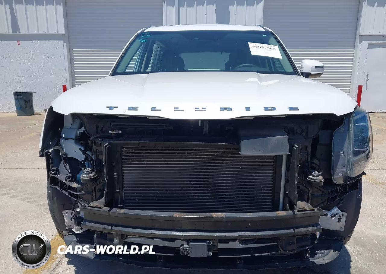 2020 Kia Telluride Ex VIN:5XYP34HC9LG067481 - 13