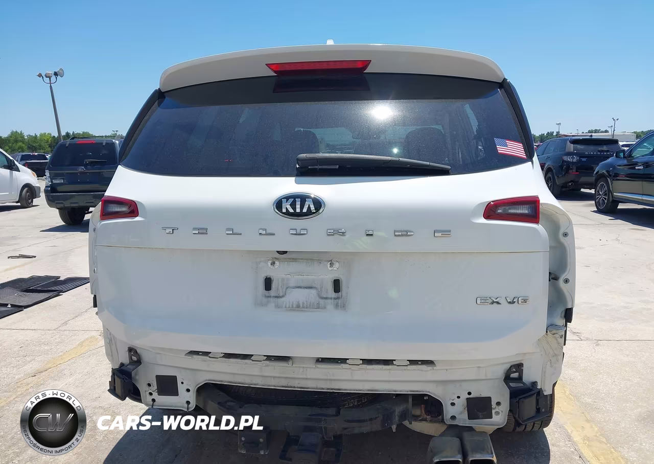 2020 Kia Telluride Ex VIN:5XYP34HC9LG067481 - 17