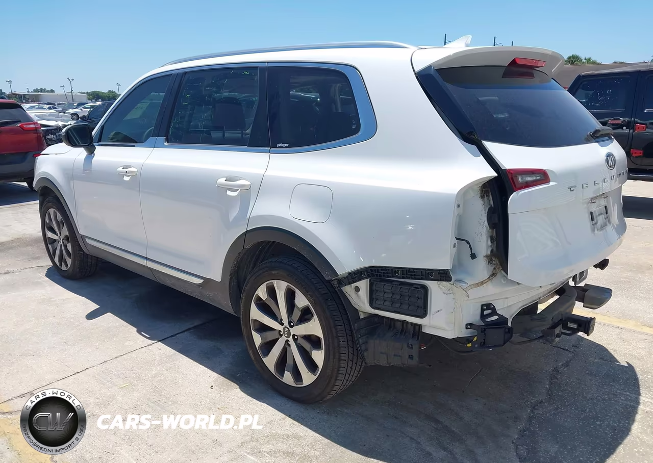 2020 Kia Telluride Ex VIN:5XYP34HC9LG067481 - 3