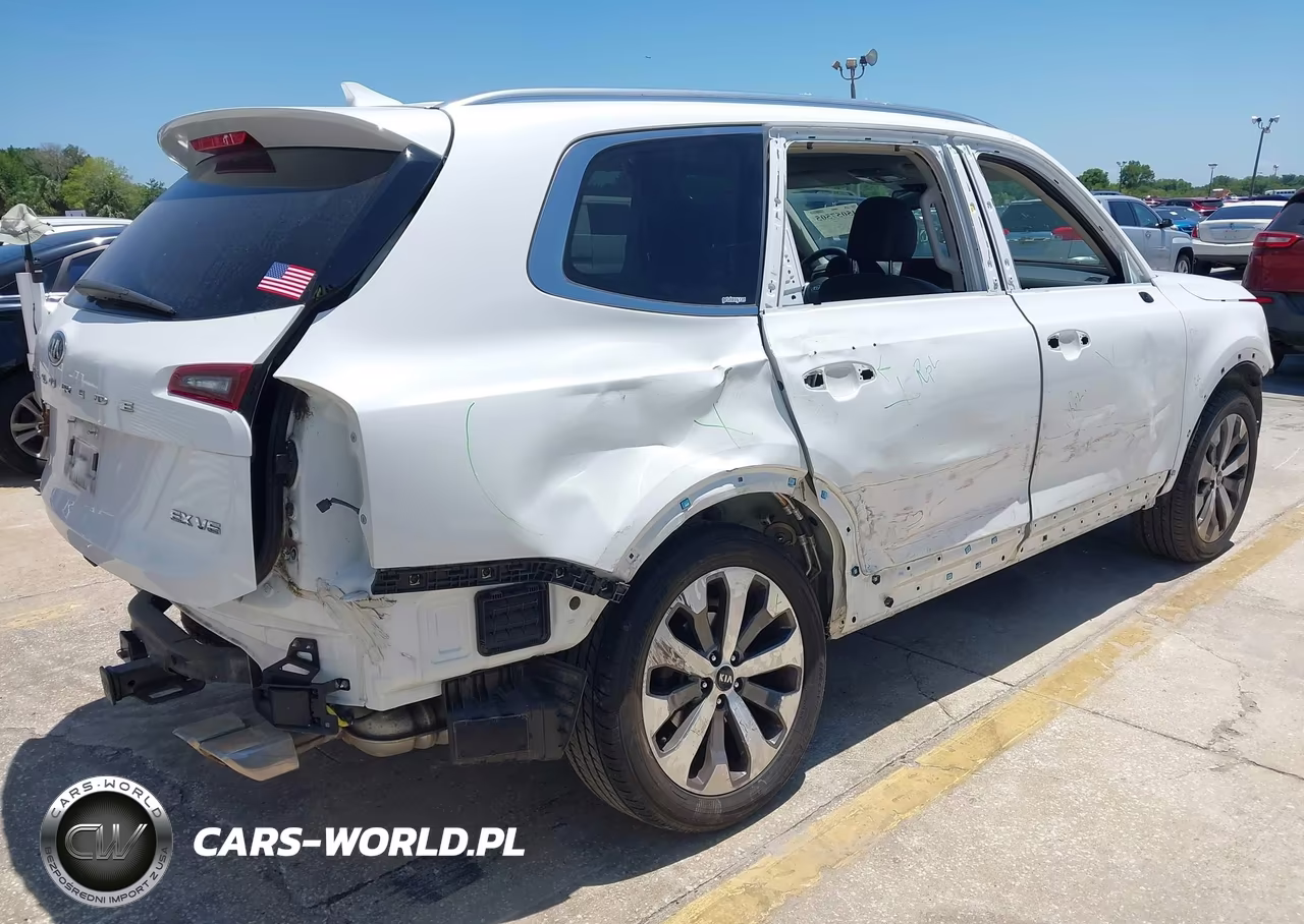 2020 Kia Telluride Ex VIN:5XYP34HC9LG067481 - 4