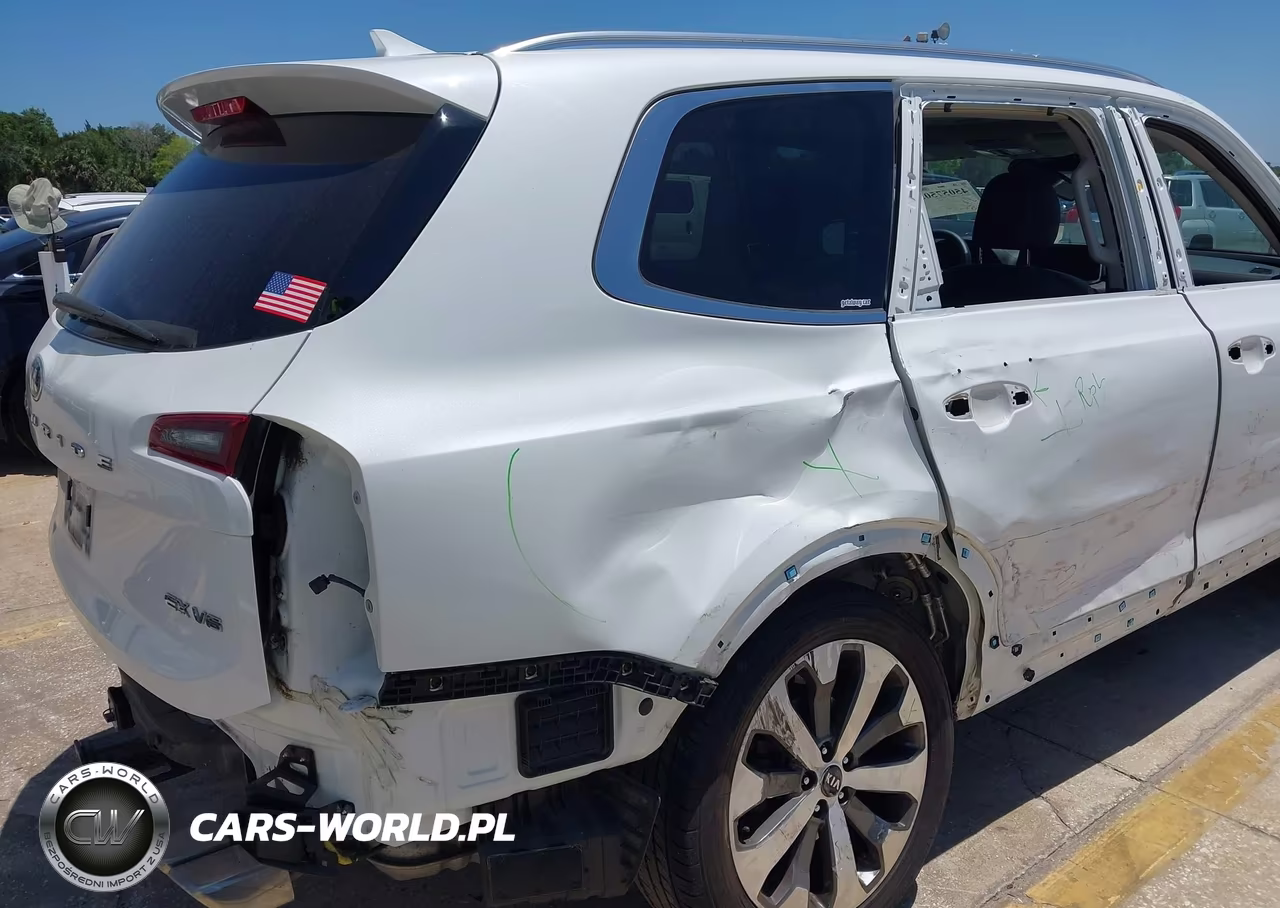 2020 Kia Telluride Ex VIN:5XYP34HC9LG067481 - 6