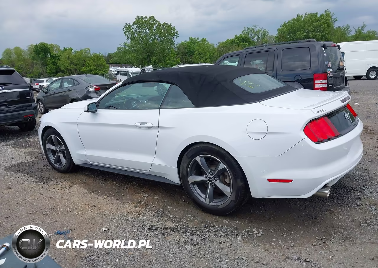 2015 Ford Mustang V6 VIN:1FATP8EM7F5383813 - 14