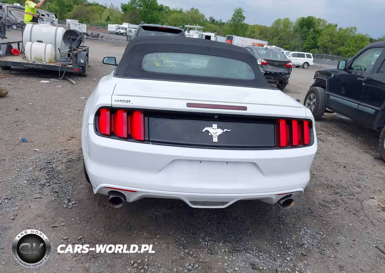 2015 Ford Mustang V6 VIN:1FATP8EM7F5383813 - 16