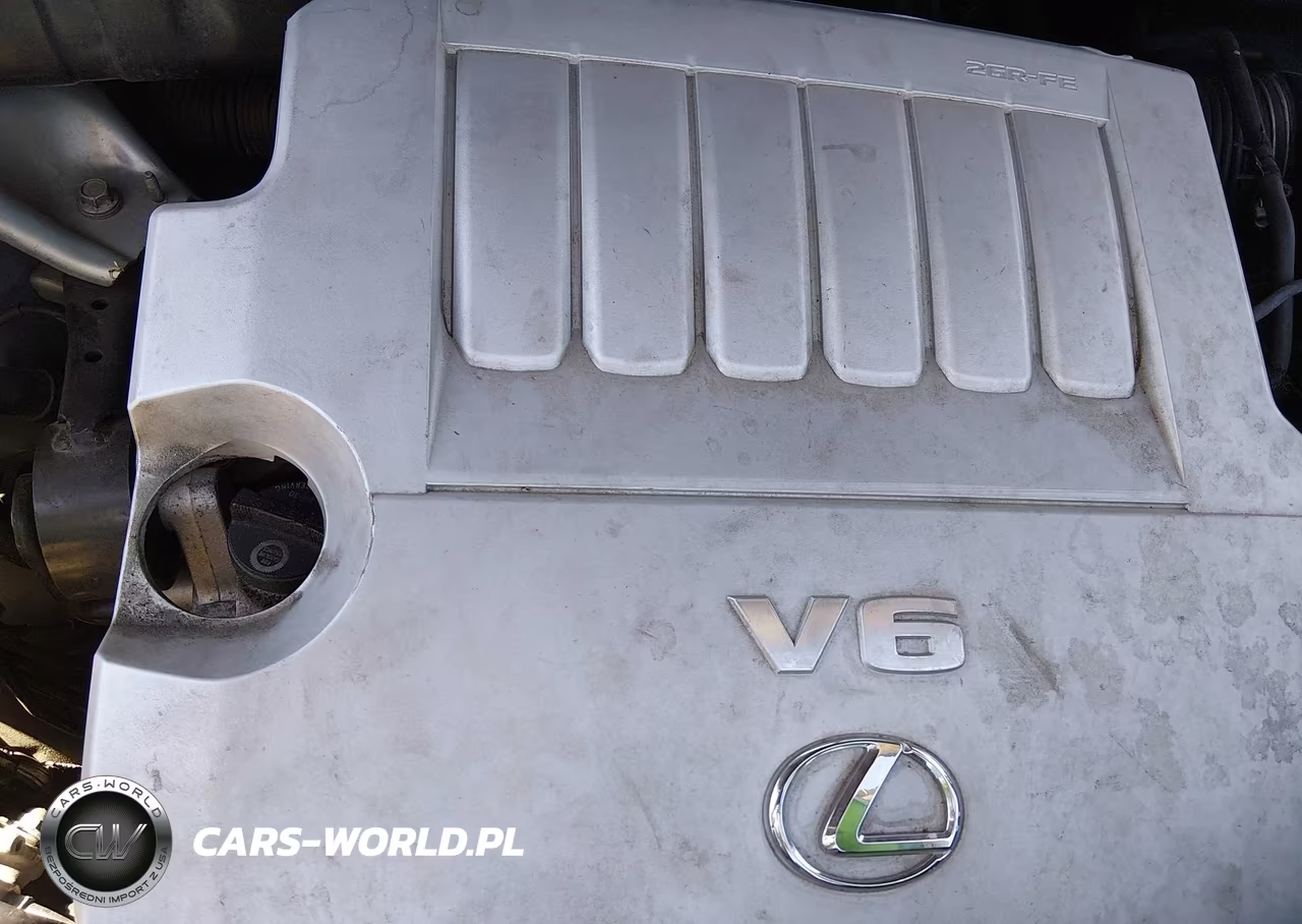 2007 Lexus Rx 350 VIN:2T2GK31U87C015983 - 10