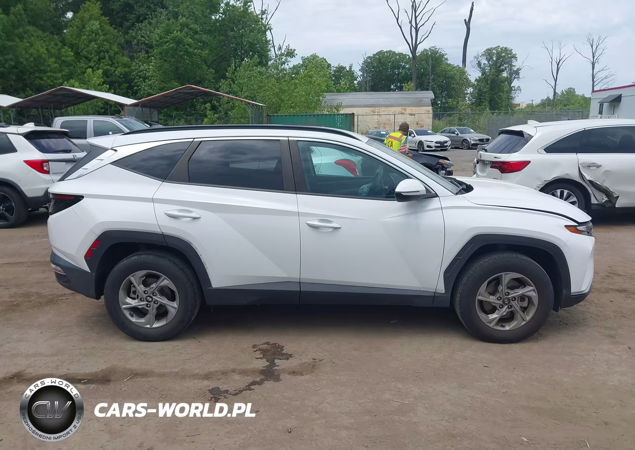 2023 Hyundai Tucson Sel VIN:5NMJBCAE3PH197847 - 13