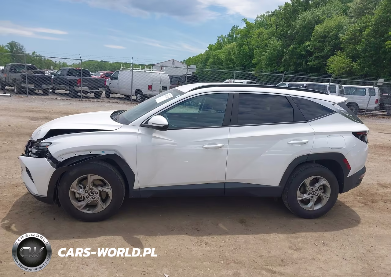 2023 Hyundai Tucson Sel VIN:5NMJBCAE3PH197847 - 14