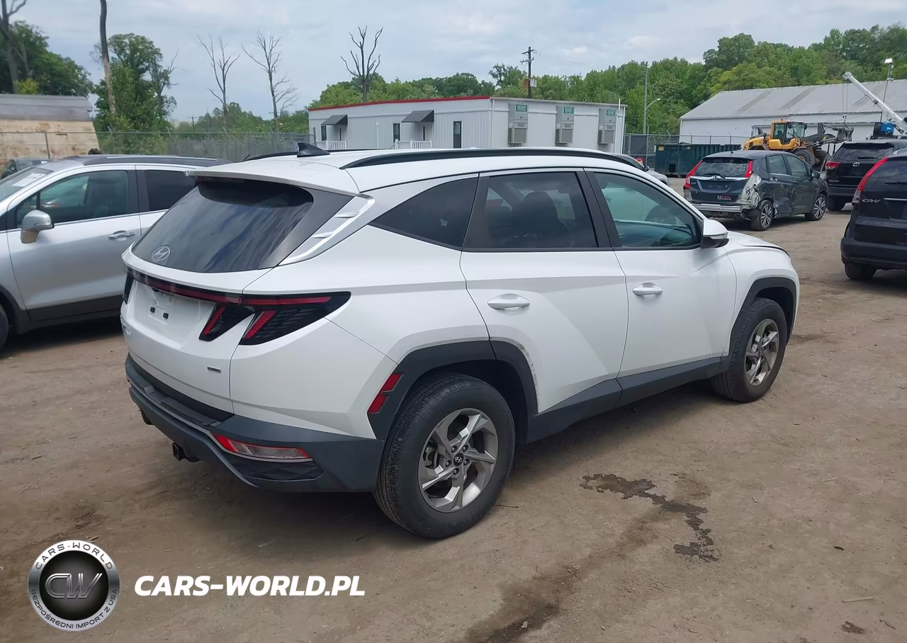 2023 Hyundai Tucson Sel VIN:5NMJBCAE3PH197847 - 4
