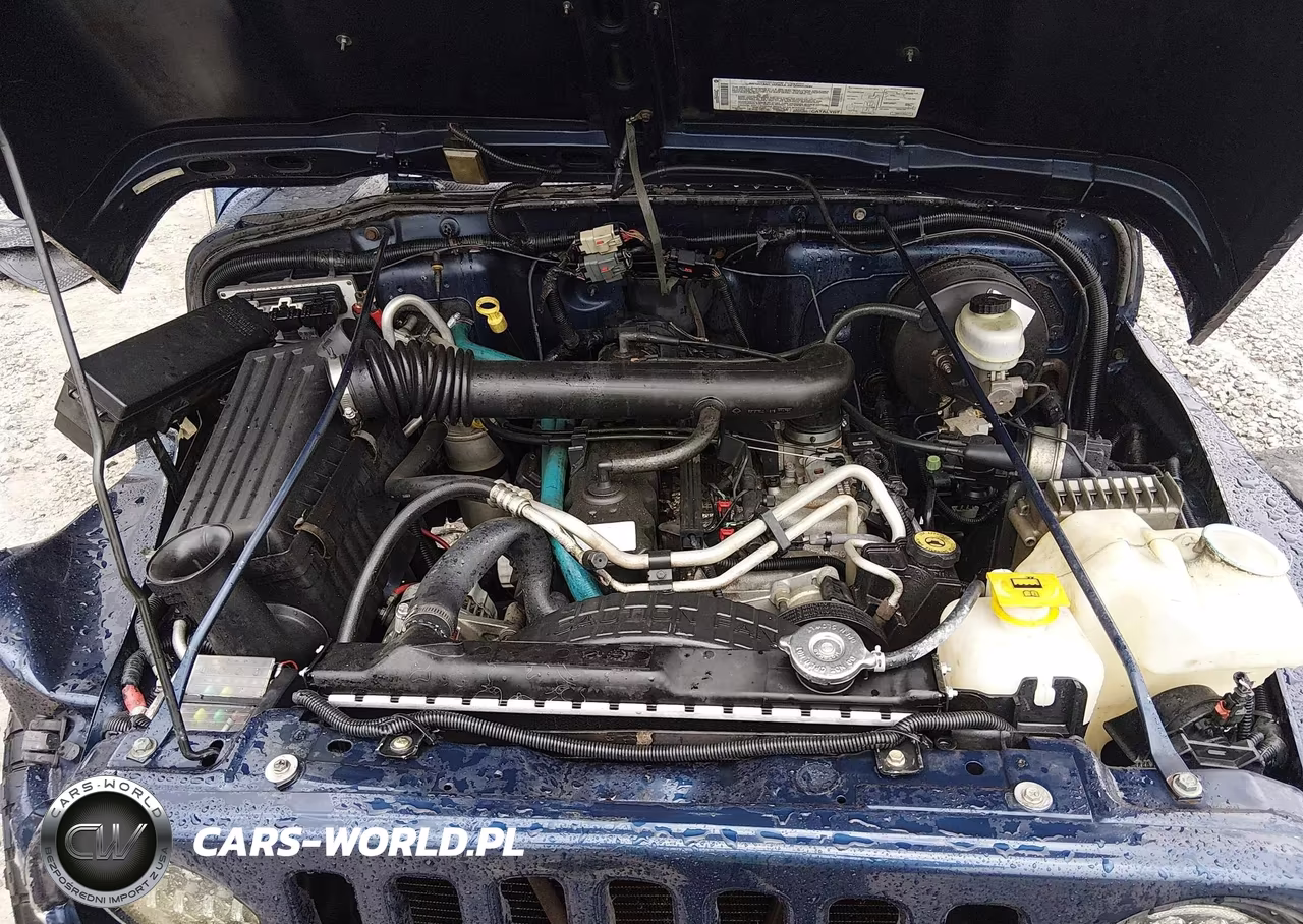 2003 Jeep Wrangler Sport VIN:1J4FA49S73P325530 - 10