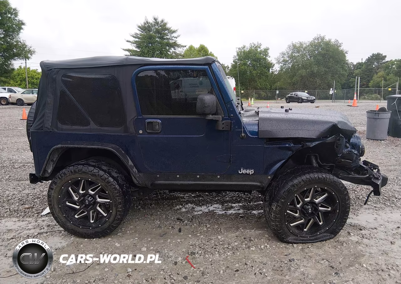 2003 Jeep Wrangler Sport VIN:1J4FA49S73P325530 - 13