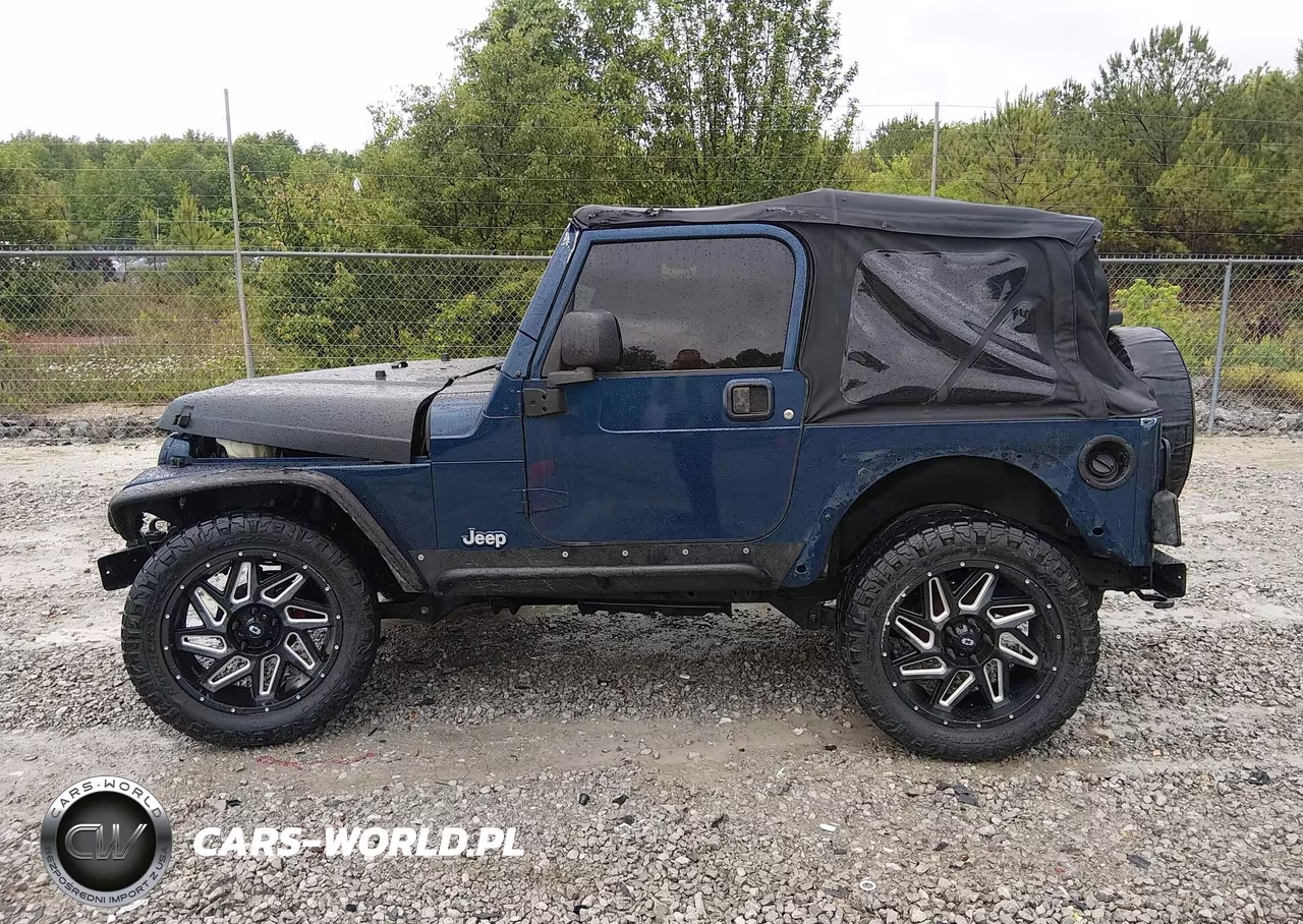 2003 Jeep Wrangler Sport VIN:1J4FA49S73P325530 - 14