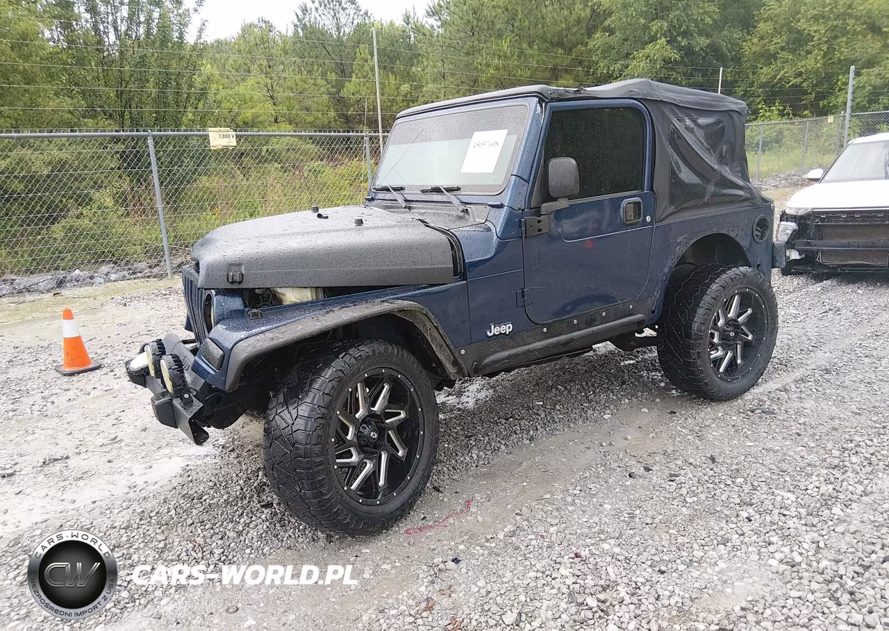 2003 Jeep Wrangler Sport VIN:1J4FA49S73P325530 - 2