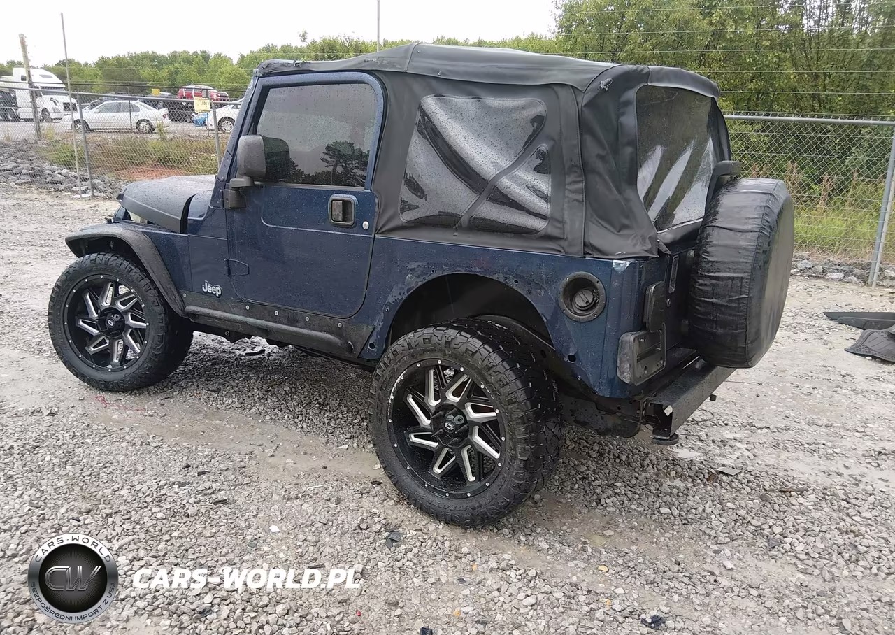 2003 Jeep Wrangler Sport VIN:1J4FA49S73P325530 - 3