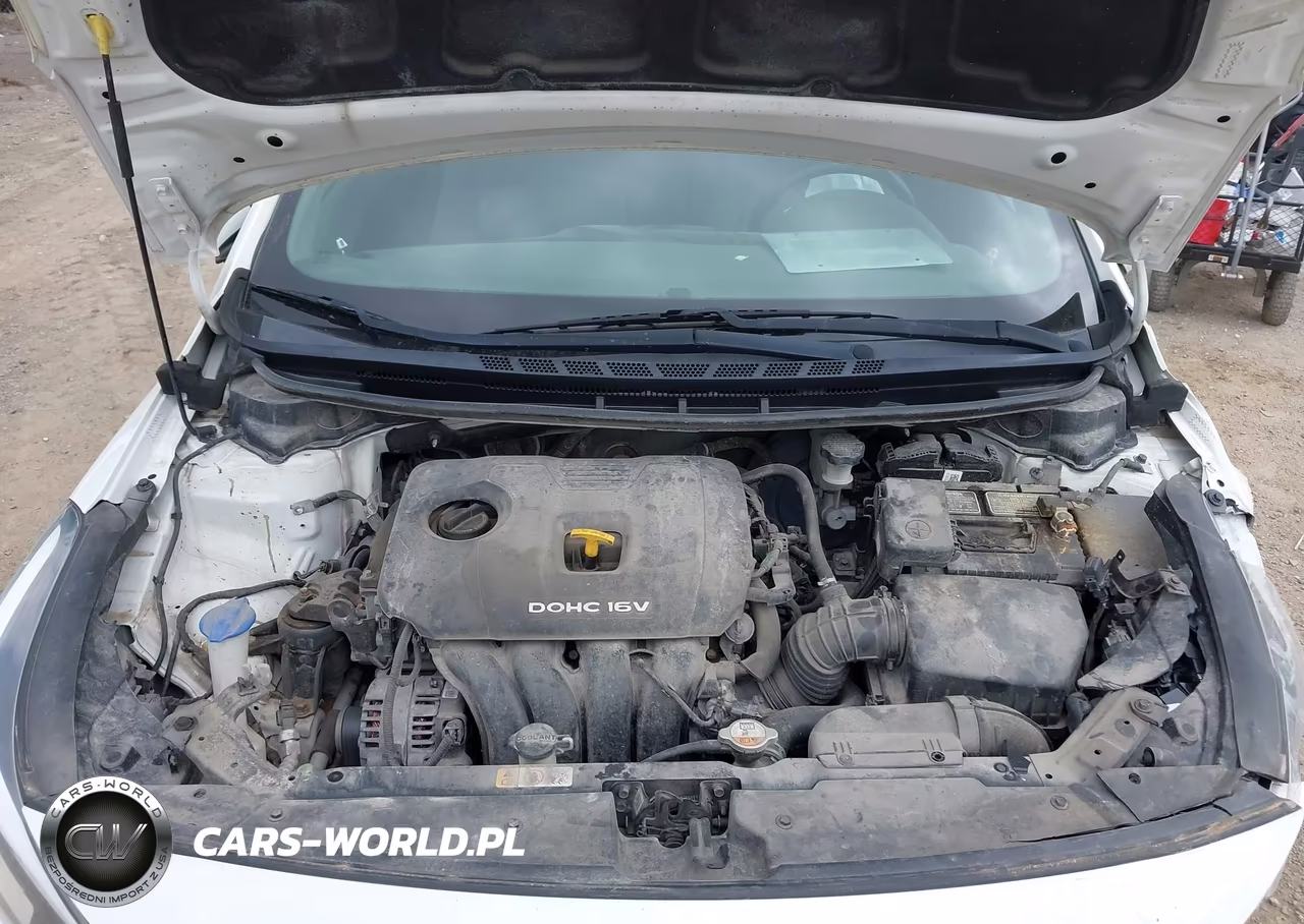 2017 Kia Forte Lx VIN:3KPFK4A79HE030849 - 10