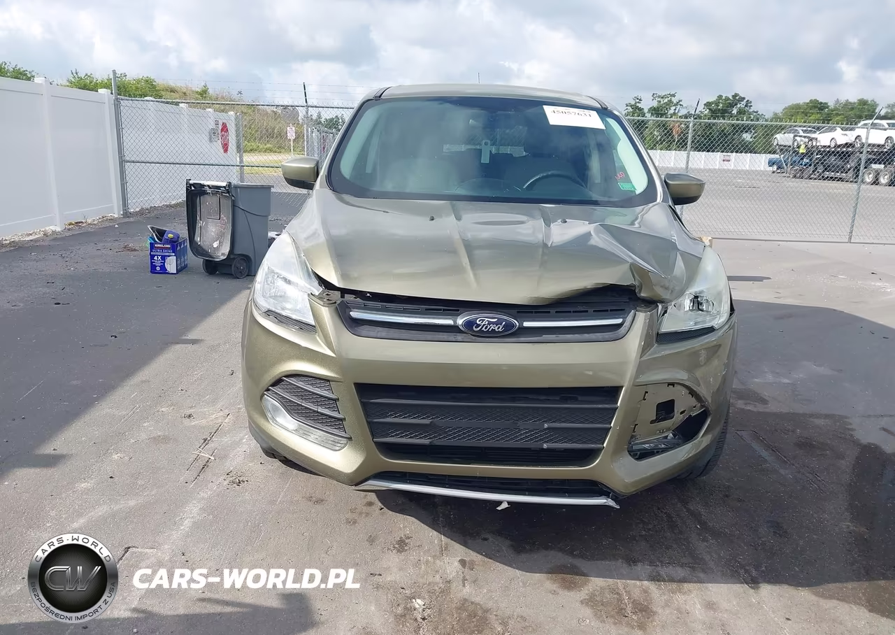 2014 Ford Escape Se VIN:1FMCU0GX2EUB39725 - 12
