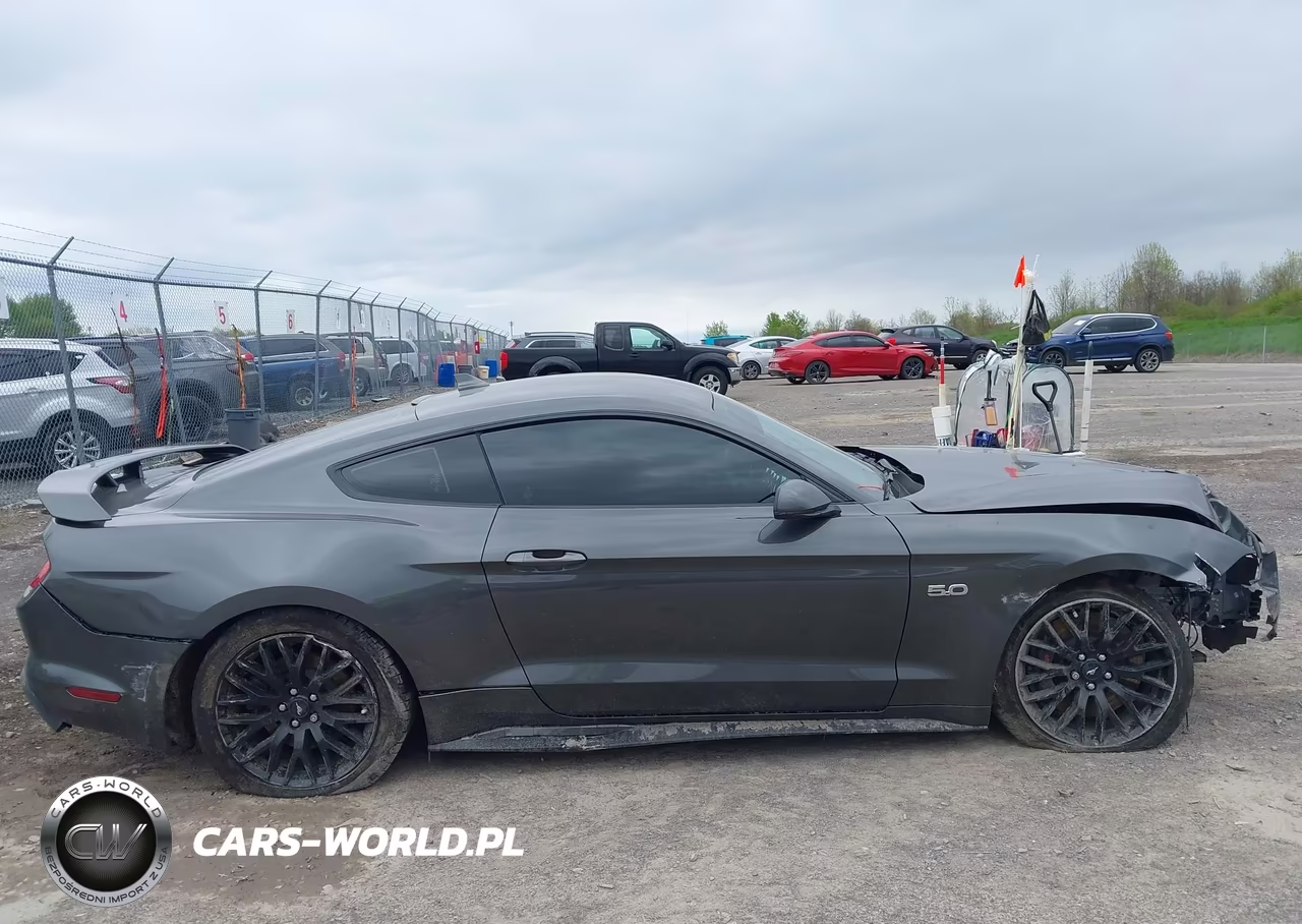2020 Ford Mustang Gt Premium Fastback VIN:1FA6P8CF1L5172507 - 14