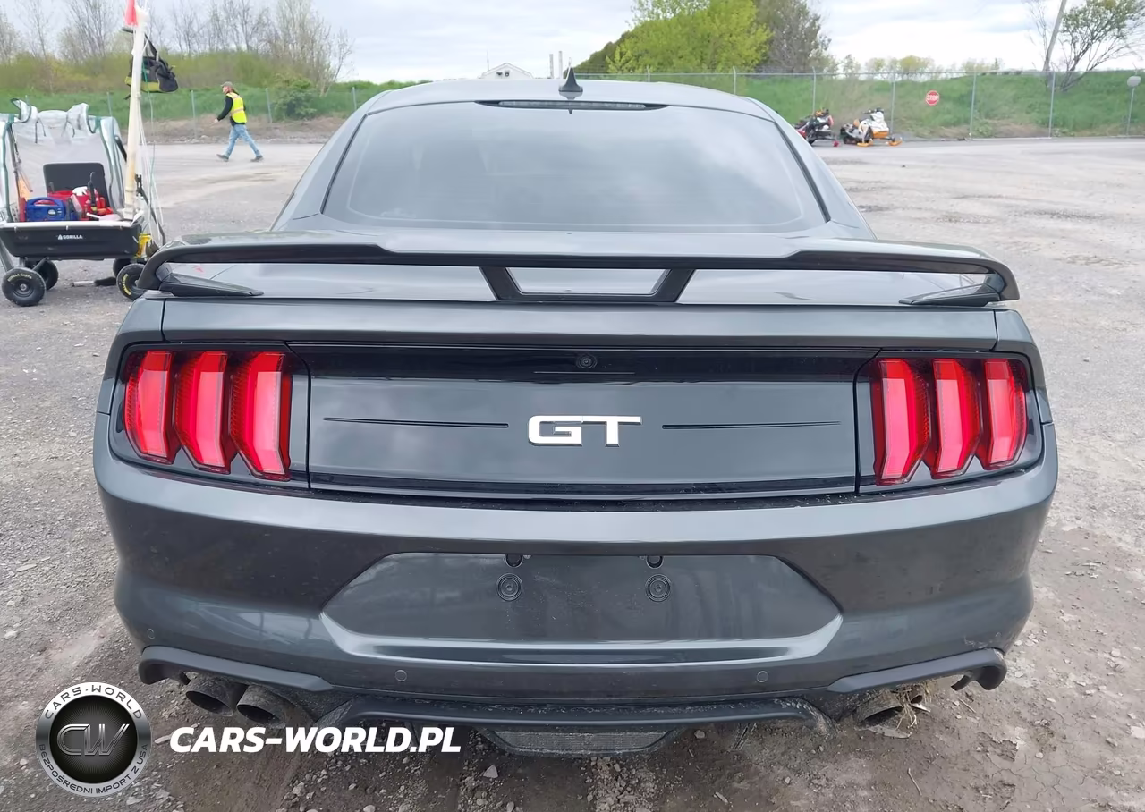 2020 Ford Mustang Gt Premium Fastback VIN:1FA6P8CF1L5172507 - 17