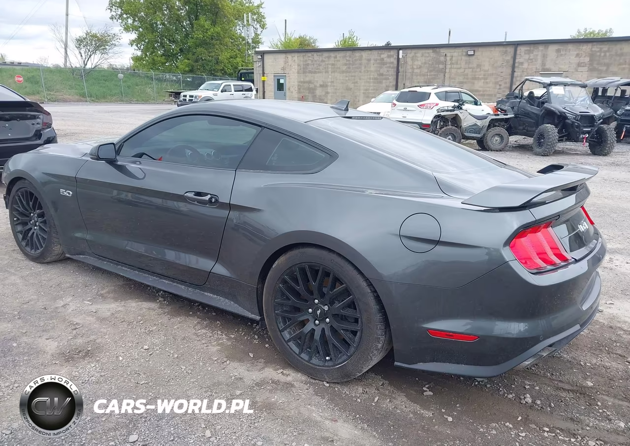 2020 Ford Mustang Gt Premium Fastback VIN:1FA6P8CF1L5172507 - 3