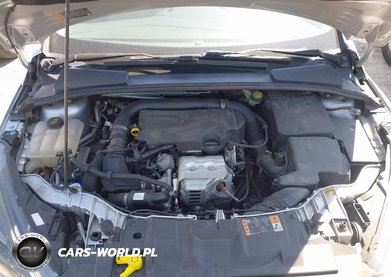 2016 Ford Focus Se VIN:1FADP3FE5GL287707 - 10
