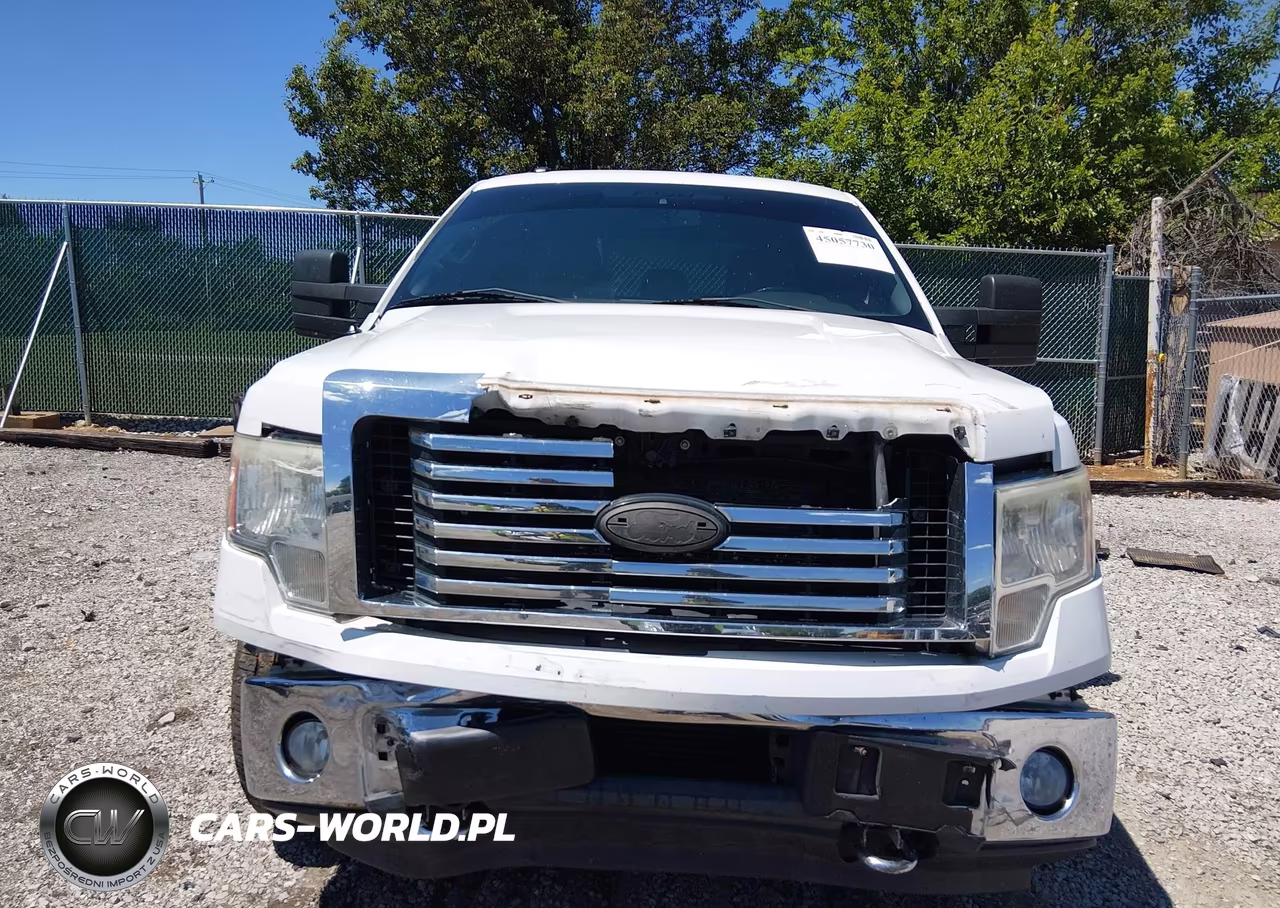 2012 Ford F-150 Xlt VIN:1FTFW1ET7CFB04374 - 12