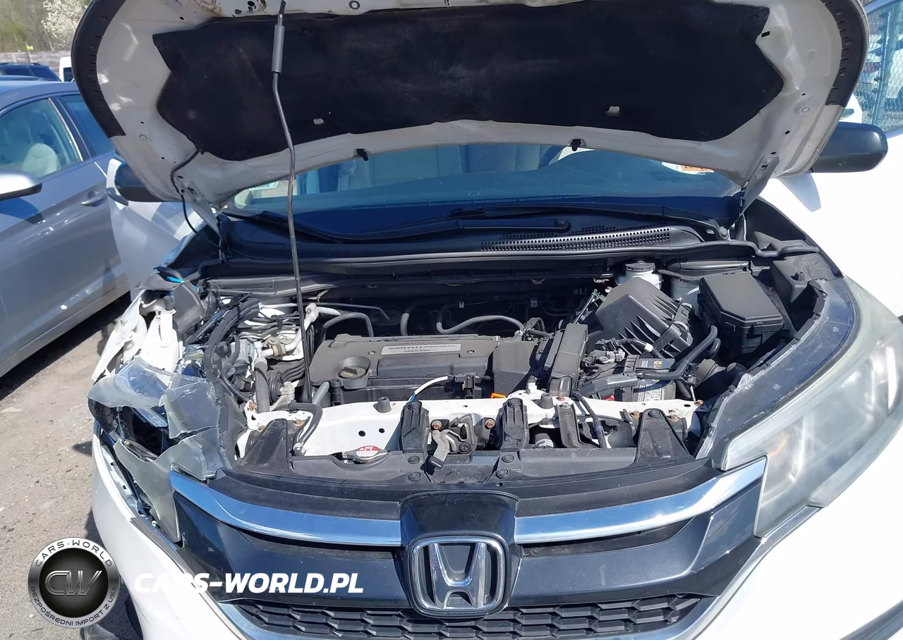 2015 Honda Cr-V Lx VIN:5J6RM4H30FL039061 - 10