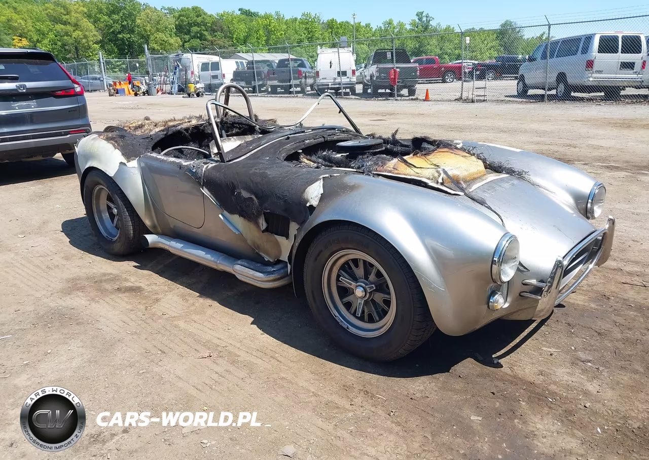 2002 Shelby Cobra – zdjęcie 1 z 15