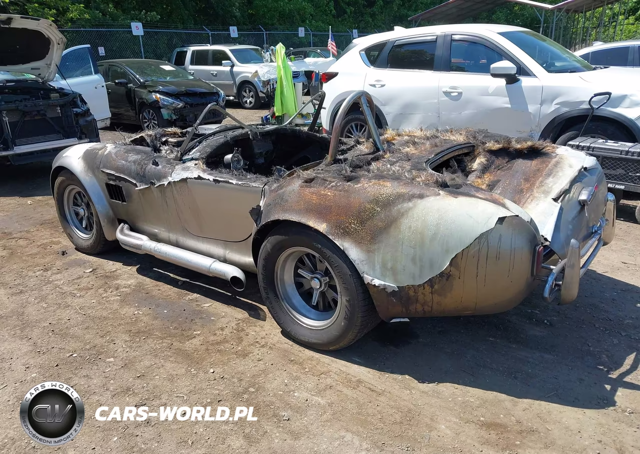 2002 Shelby Cobra VIN:0000000AC214144MD - 3