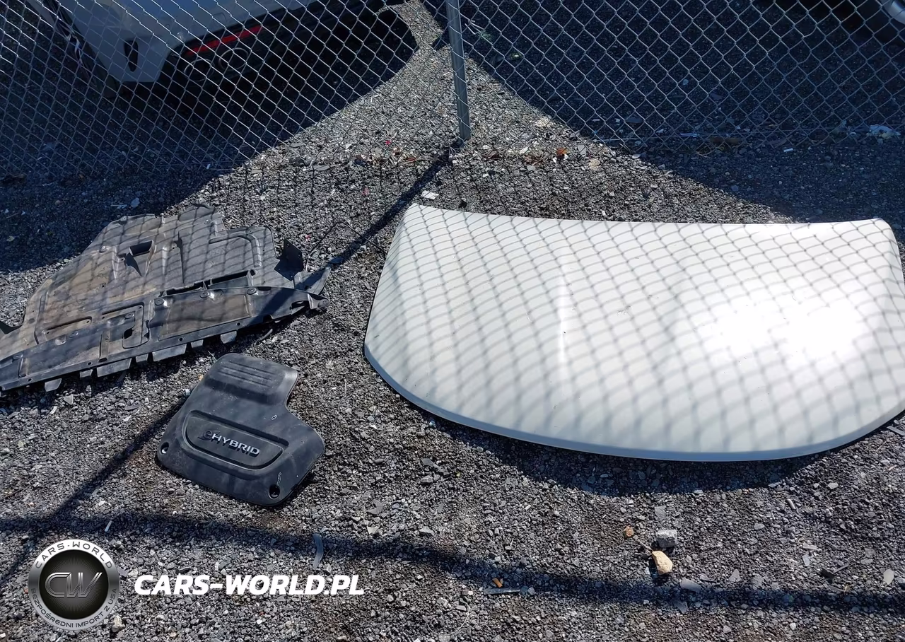 2019 Chrysler Pacifica Hybrid Limited VIN:2C4RC1N7XKR590890 - 12
