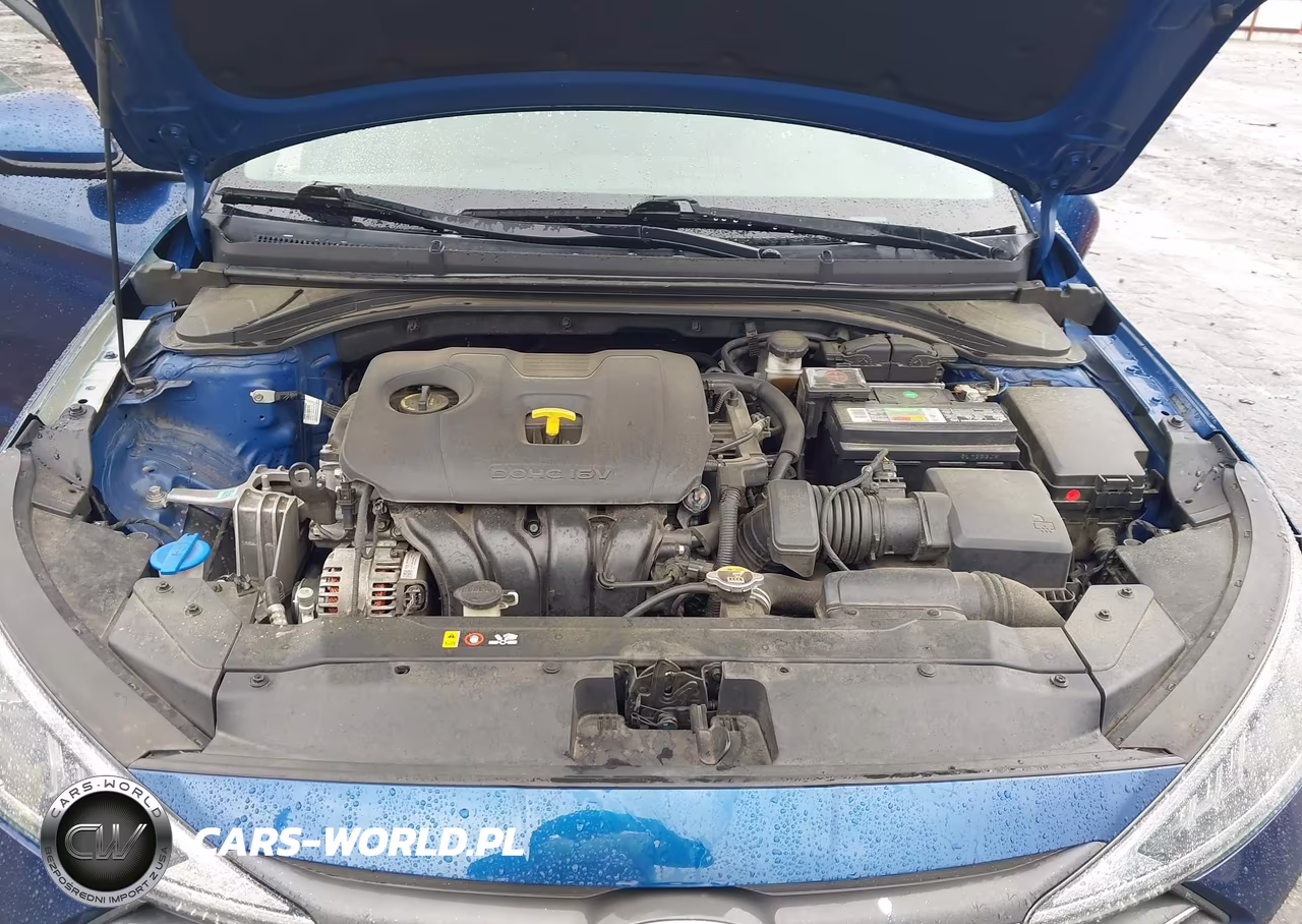 2020 Hyundai Elantra Sel VIN:5NPD84LF3LH509508 - 10