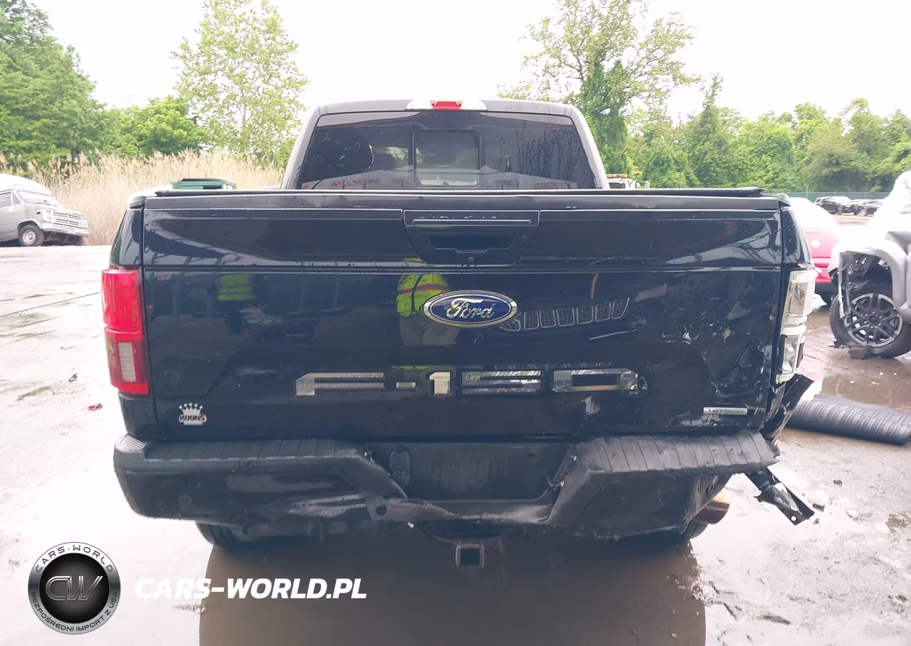 2019 Ford F-150 Lariat VIN:1FTFW1E44KKE53992 - 16